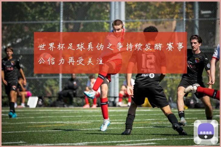 世界杯足球真伪之争持续发酵 赛事公信力再受关注