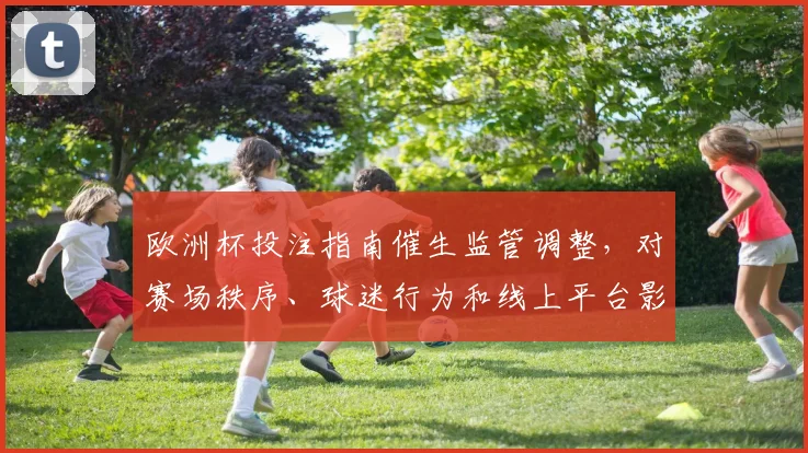 欧洲杯投注指南催生监管调整,对赛场秩序、球迷行为和线上平台影响