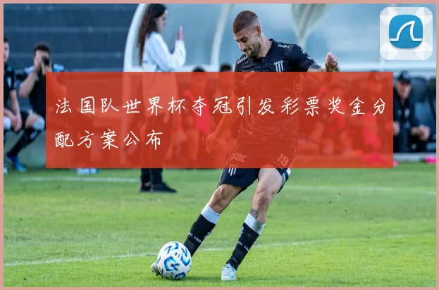 法国队世界杯夺冠引发彩票奖金分配方案公布