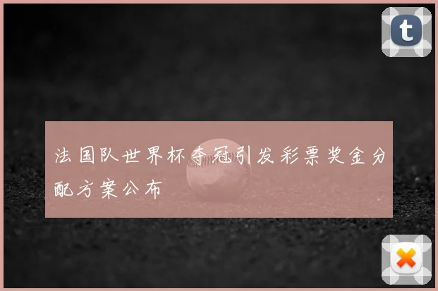 法国队世界杯夺冠引发彩票奖金分配方案公布