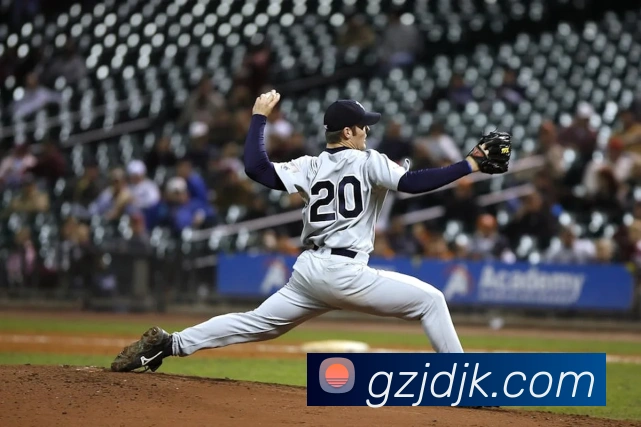 未来规划