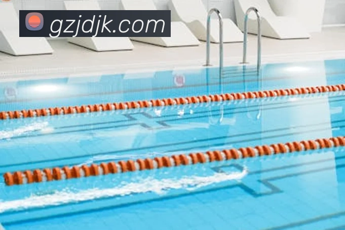 App Interface Preview